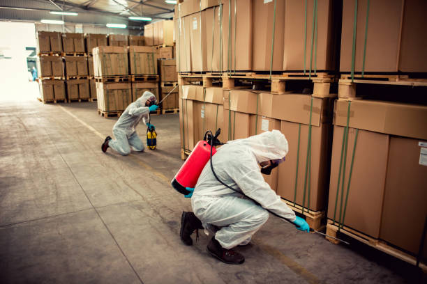Best Wildlife Control Services  in Adel, GA