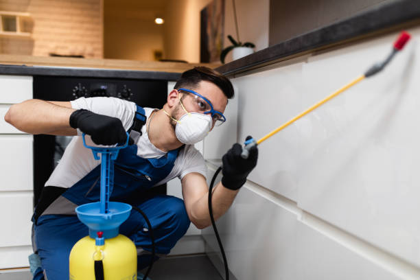 Best Rat Extermination Near Me  in Adel, GA