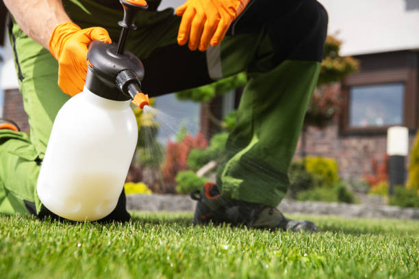 Reliable Adel, GA Pest Control Solutions