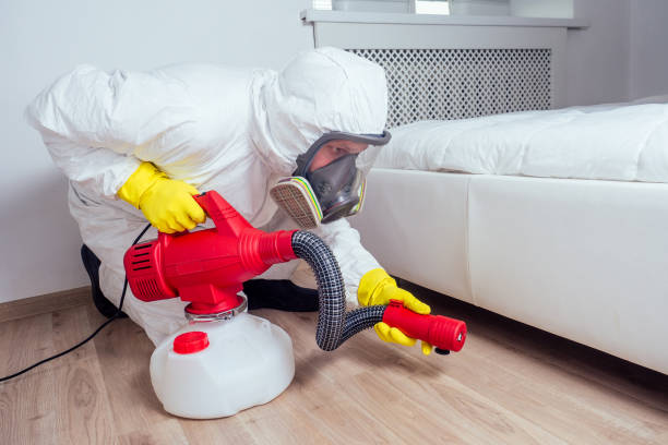 Best Wasp Removal Services  in Adel, GA