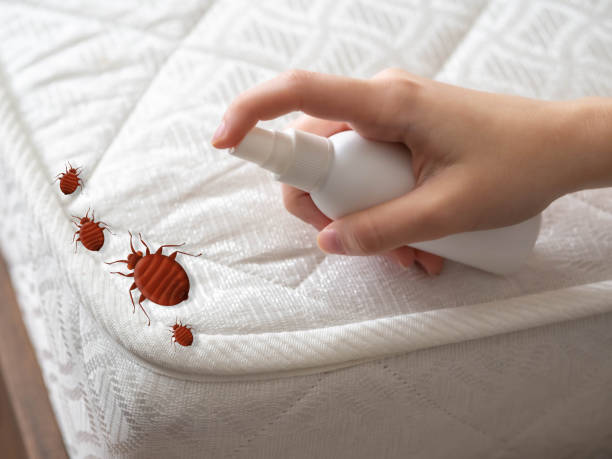 Best Best Pest Control Companies  in Adel, GA