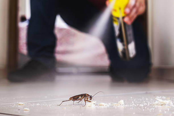 Best Mosquito Control Services  in Adel, GA