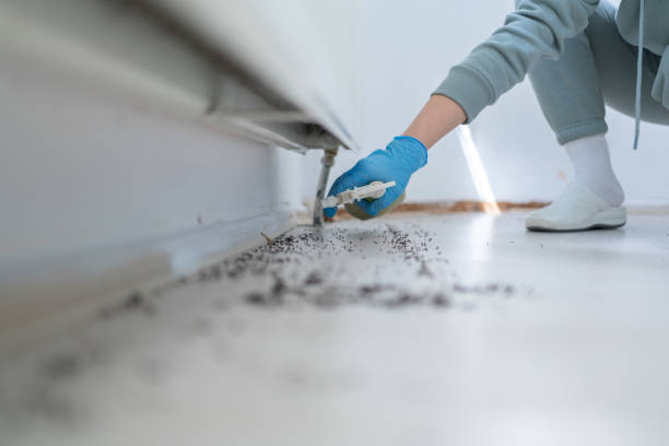 Best Cockroach Control Services  in Adel, GA