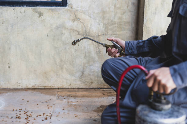 Pest Control Cost in Adel, GA
