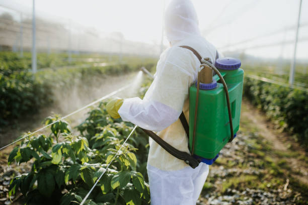Best Pest Inspection Near Me  in Adel, GA